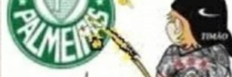 descubraˢᶜᶜᵖ🦈 banner