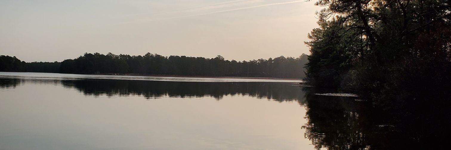 Sam Lufi banner