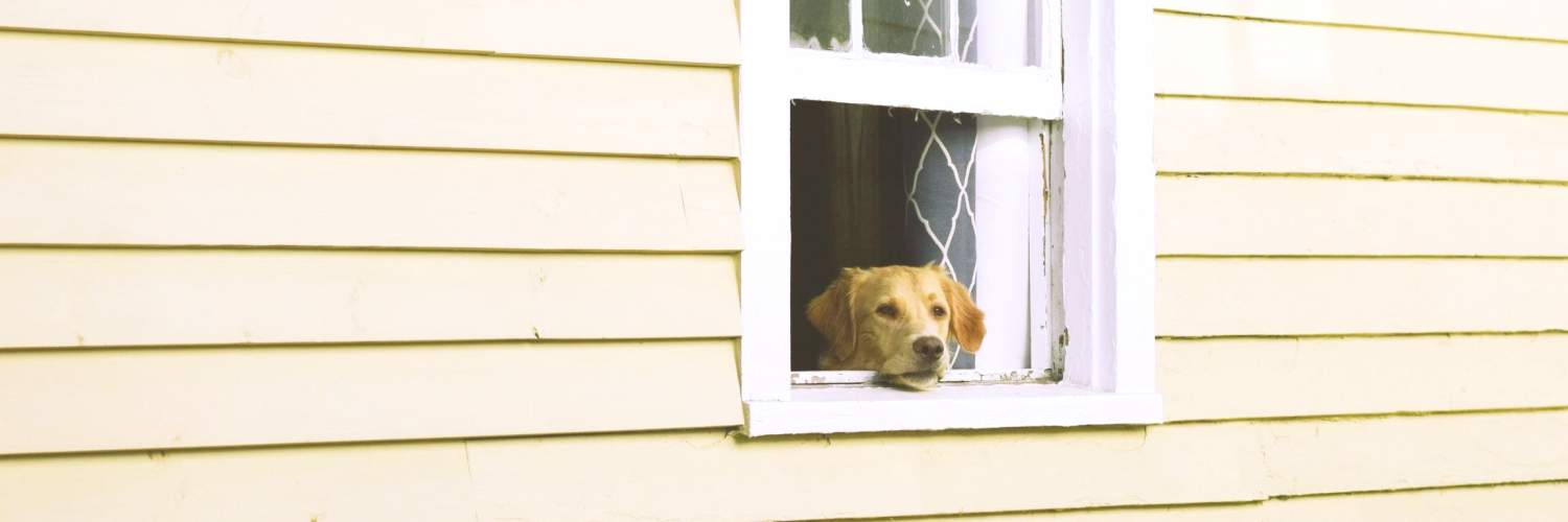 hirobbzz's profile banner image