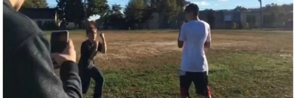 Lux commissions open📌 banner