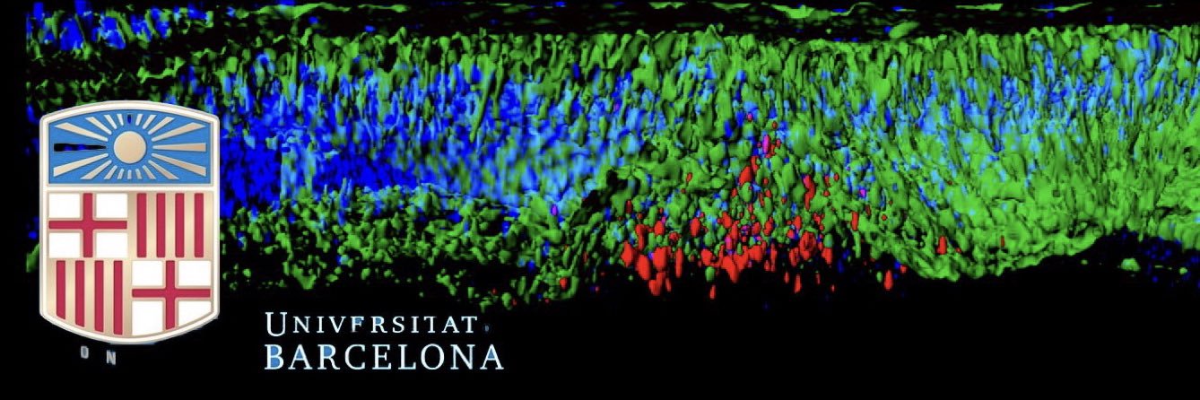 Master in Genetics and Genomics banner