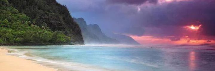 killer_ant13's profile banner image
