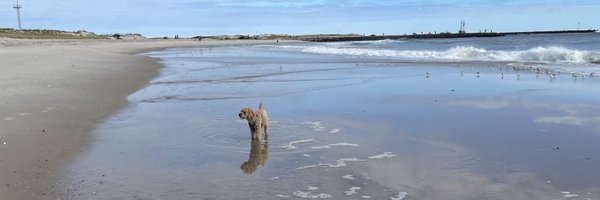 Be4Spring Profile Banner