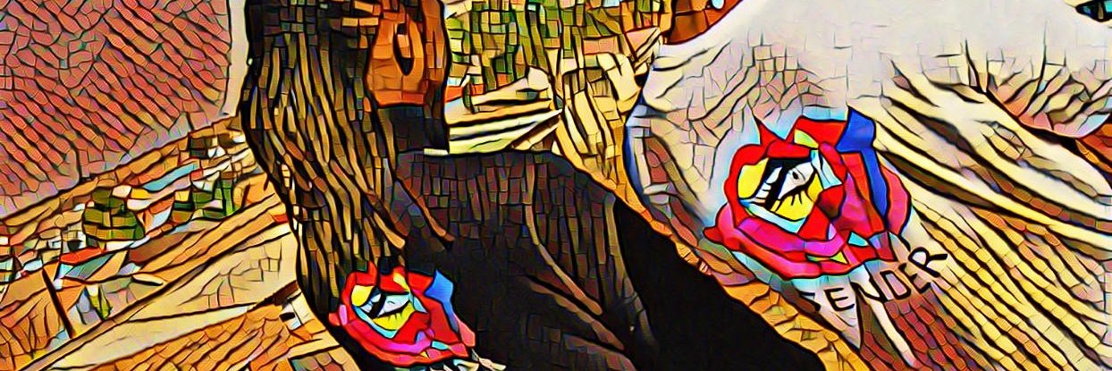 5enderZA's profile banner image