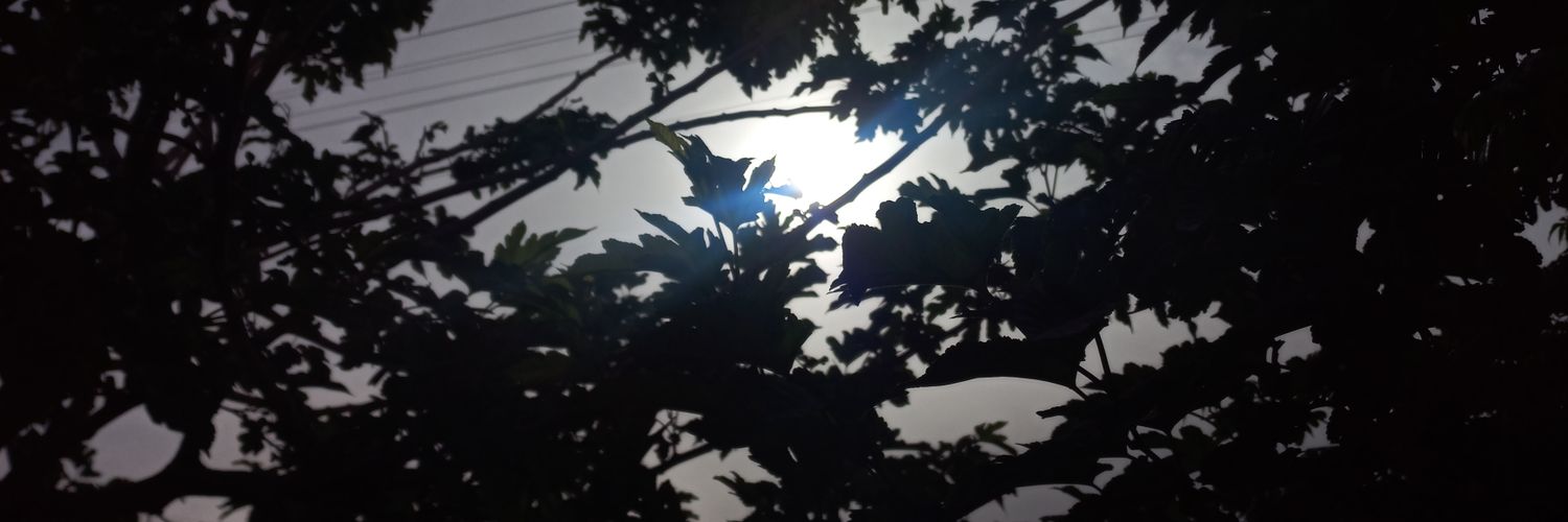 ItzelSC's profile banner image