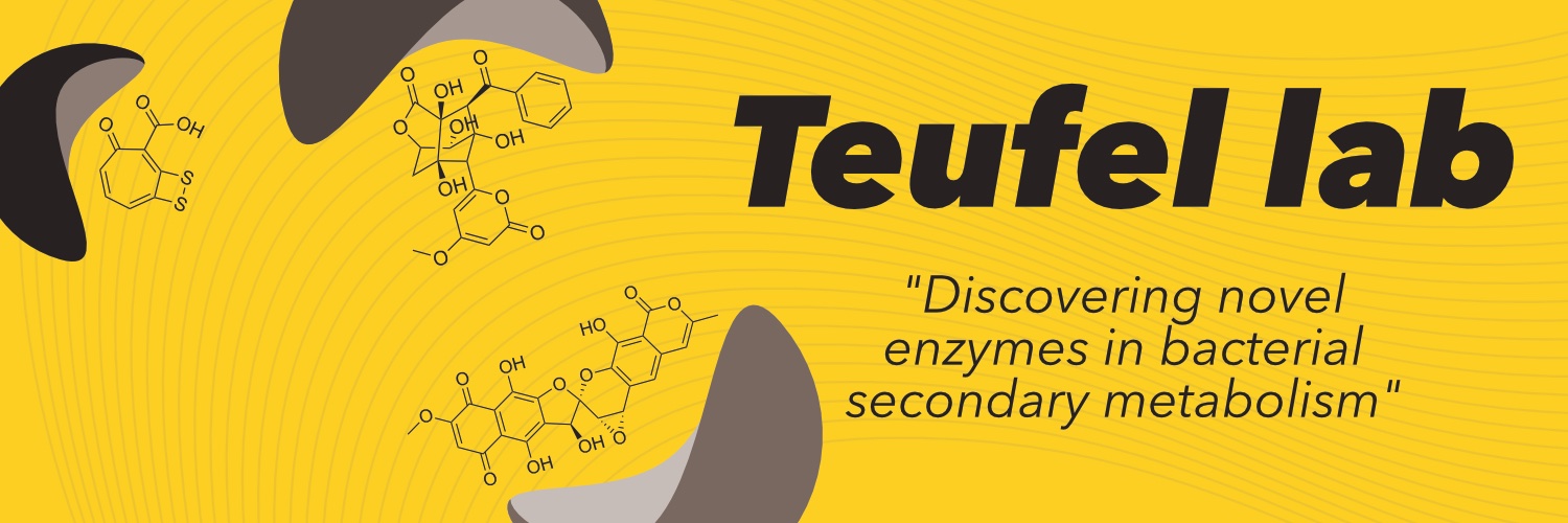 TeufelLab banner