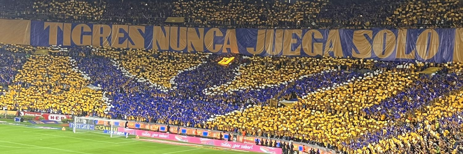 Ileana Salgado banner