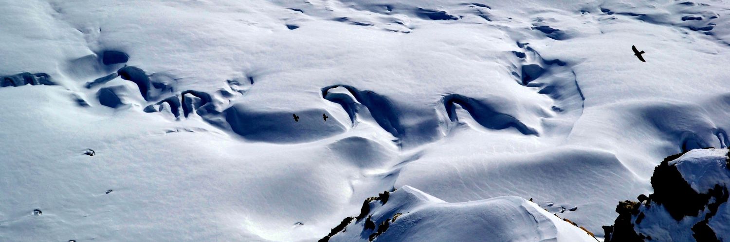 Rachel Barbara Häubi banner