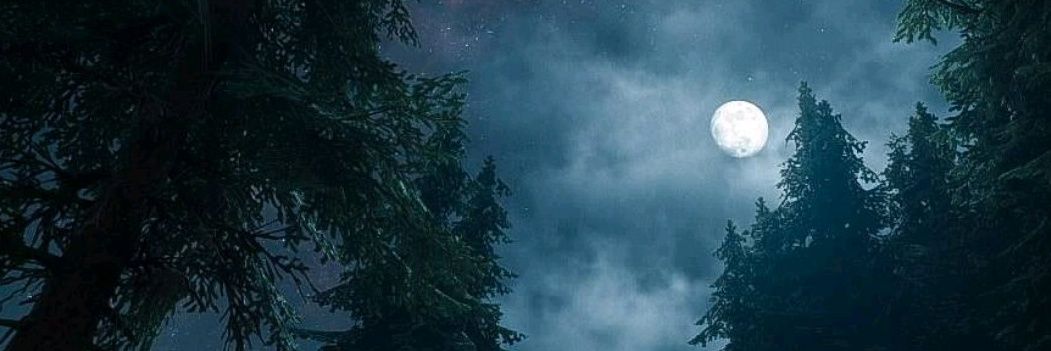 Nabudelle's profile banner image