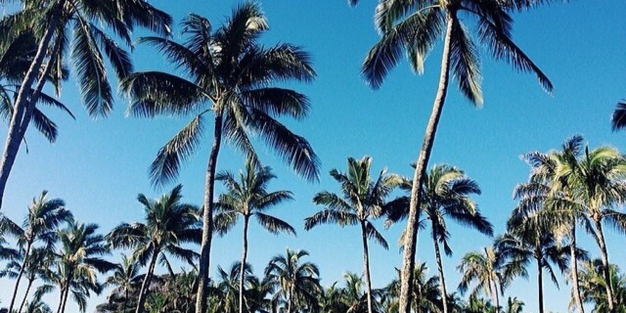 devinxbabe's profile banner image