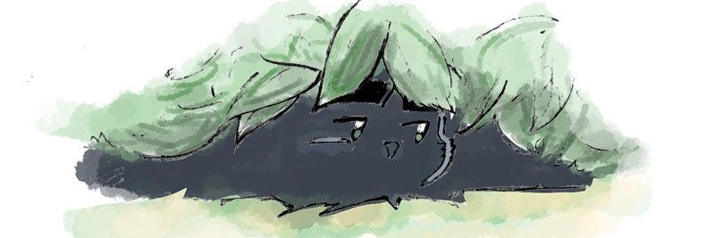 MissLadaHitam's profile banner image
