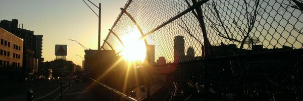 levydr Profile Banner