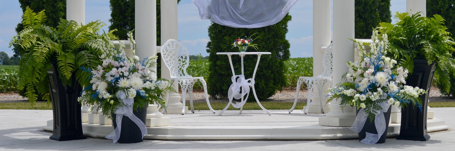 Cathy Dilliott banner