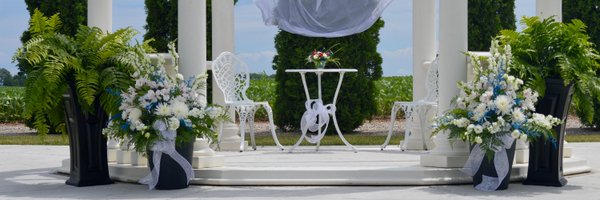 Dilliotto Profile Banner