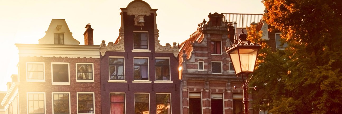 dnchapman's profile banner image
