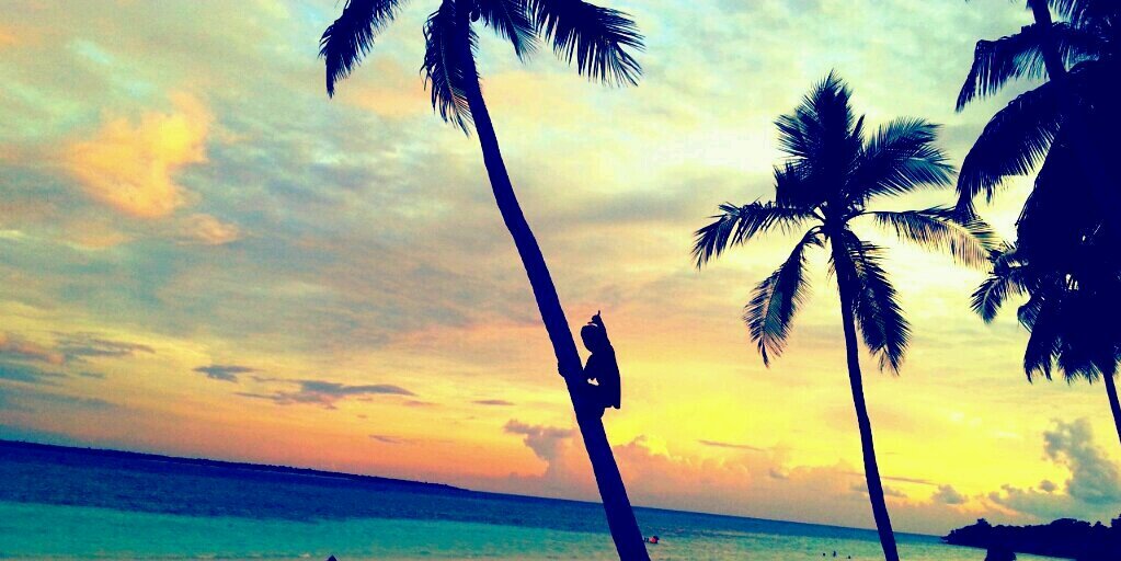 jeeep_'s profile banner image
