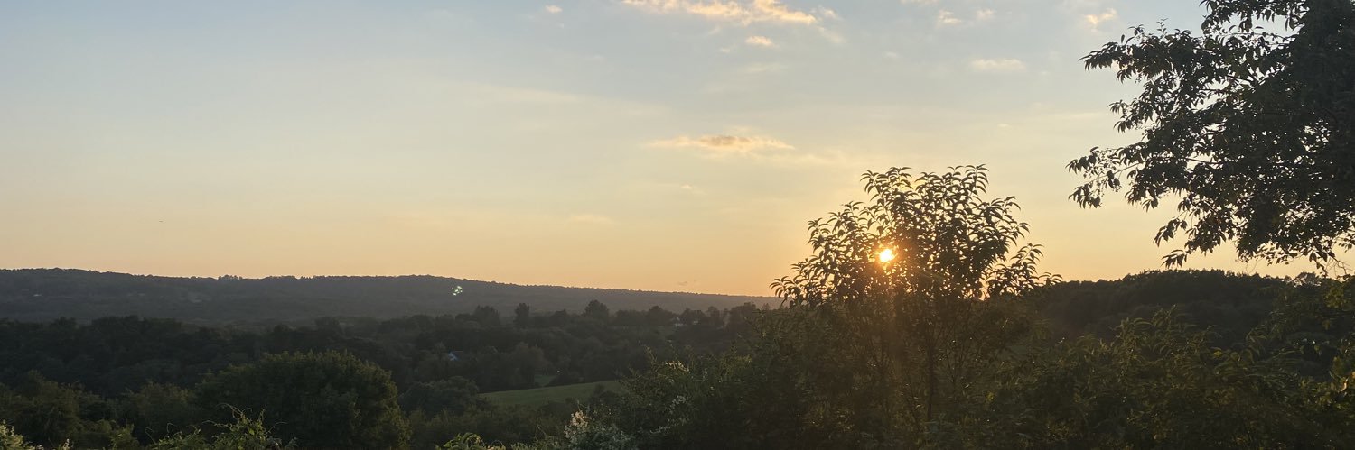 seanacooks's profile banner image