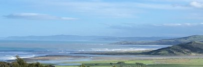 Renee Raroa banner
