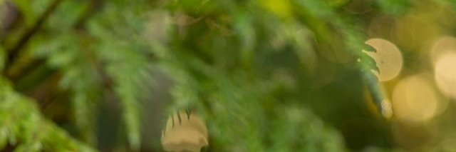 CallumKempd's profile banner image