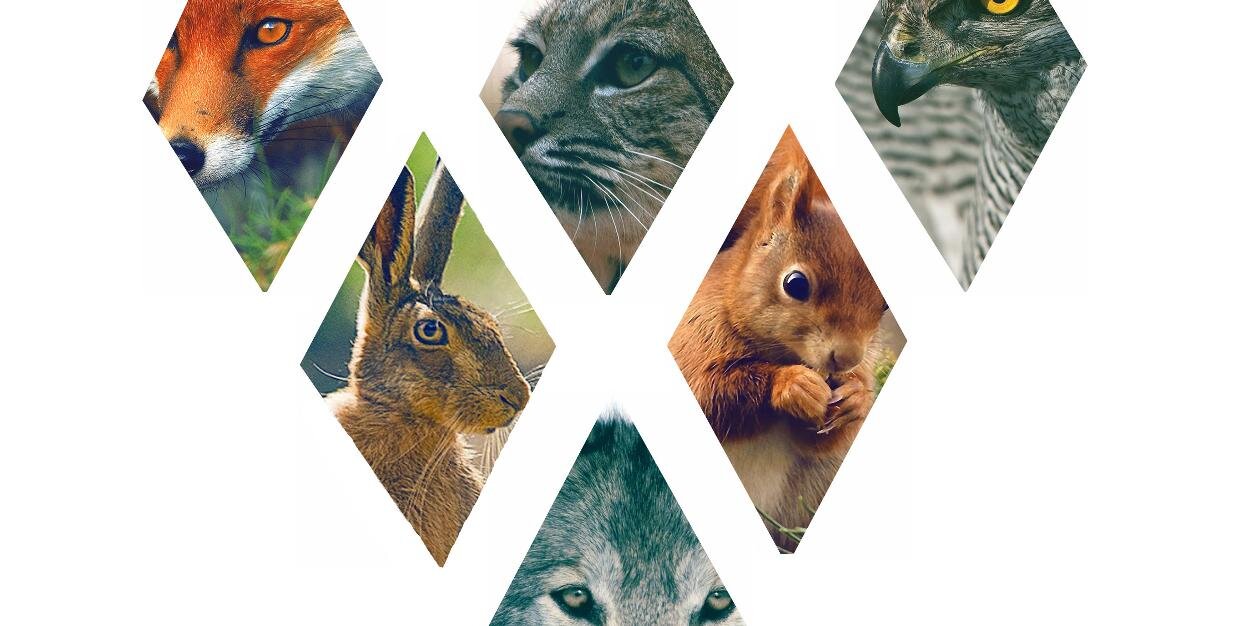LKKSP's profile banner image