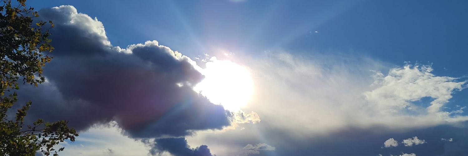 SBeenes's profile banner image