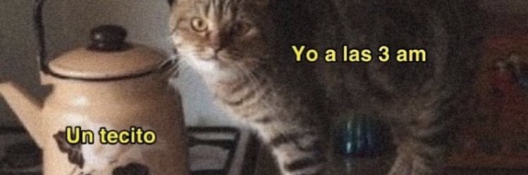 EveBarisonzi's profile banner image