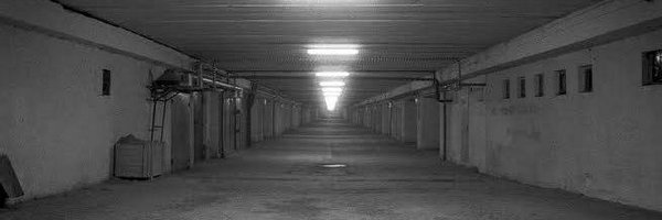 BocianRec Profile Banner