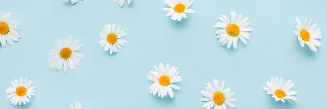 mayaravargasc's profile banner image