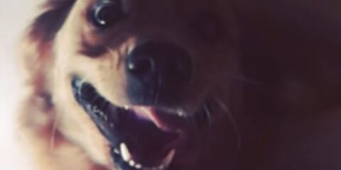 ArantxaD's profile banner image