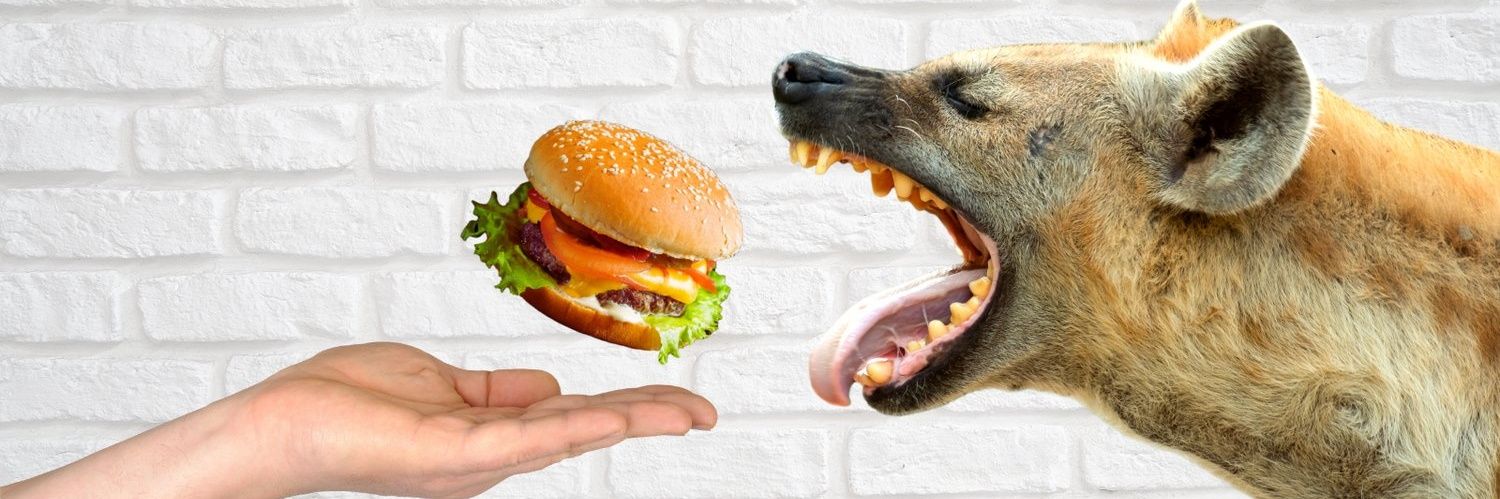 Dereck The Hyena banner