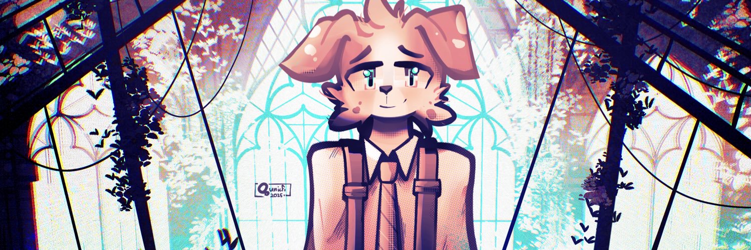 qunicfi's profile banner image