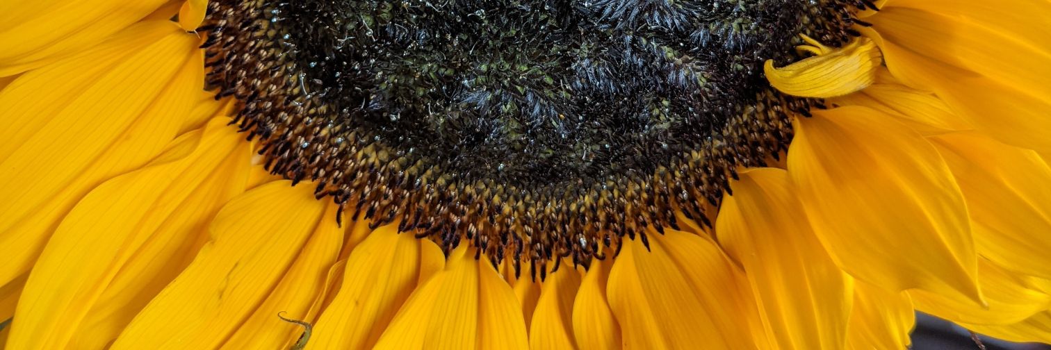 bappers85's profile banner image