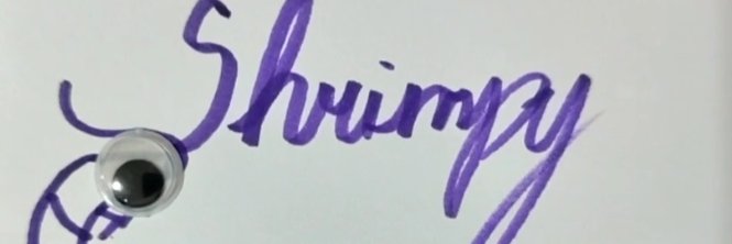 HolyShrimp69VT 🍤🚪 banner