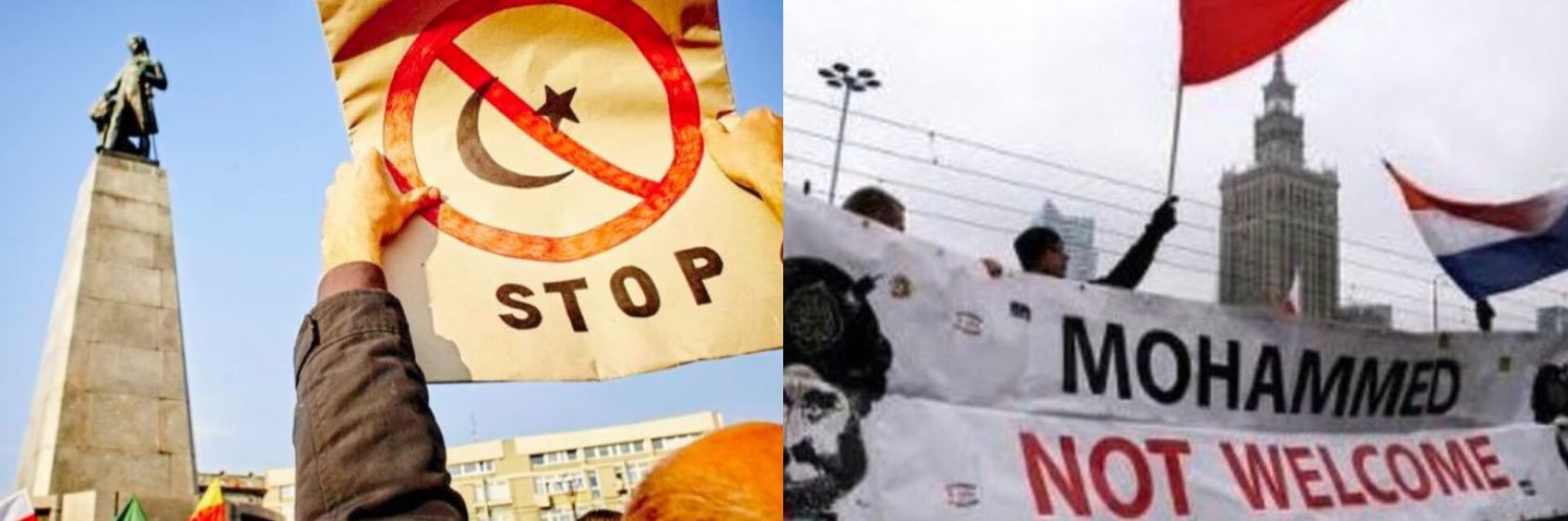 Marika Zenowicz-Urbaniak banner