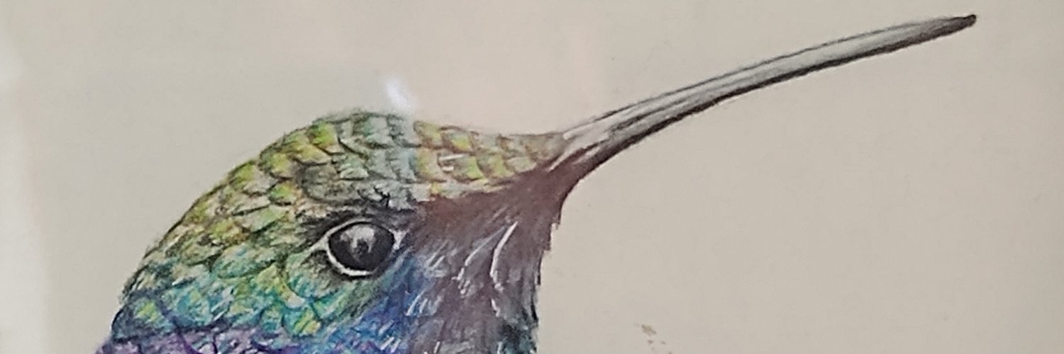 joselorom's profile banner image
