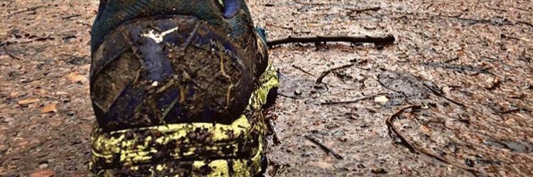 rogerzaf's profile banner image