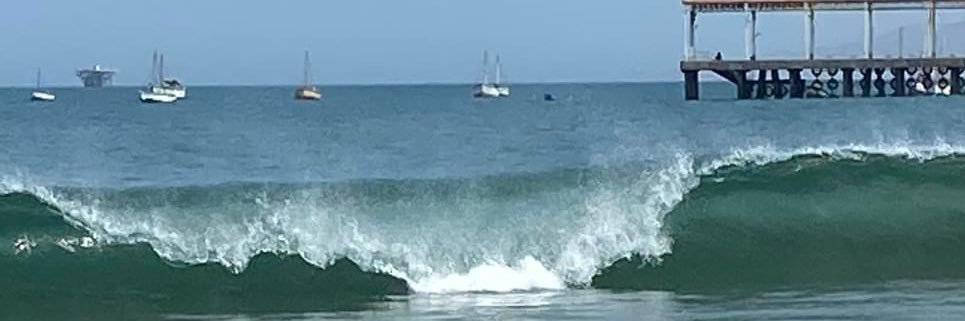 Tarek 🇫🇷🇵🇪 banner