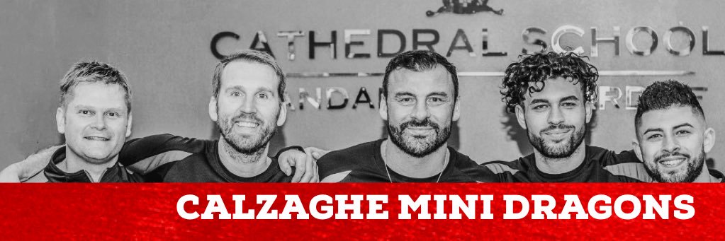 Calzaghe Mini Dragons banner