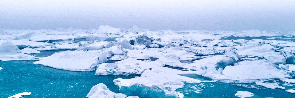 AmericanArctic's profile banner image