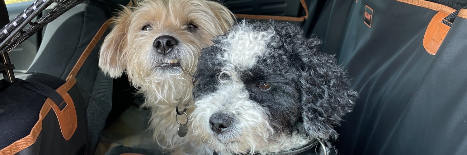 Yoshi + Onkel 🐶🐶👩‍⚕️🇪🇺 banner