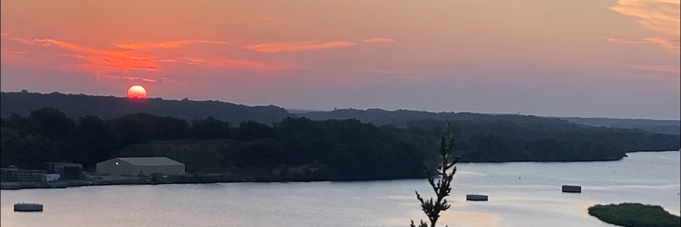baconfaced's profile banner image