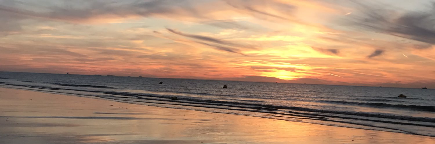 chloeleai's profile banner image