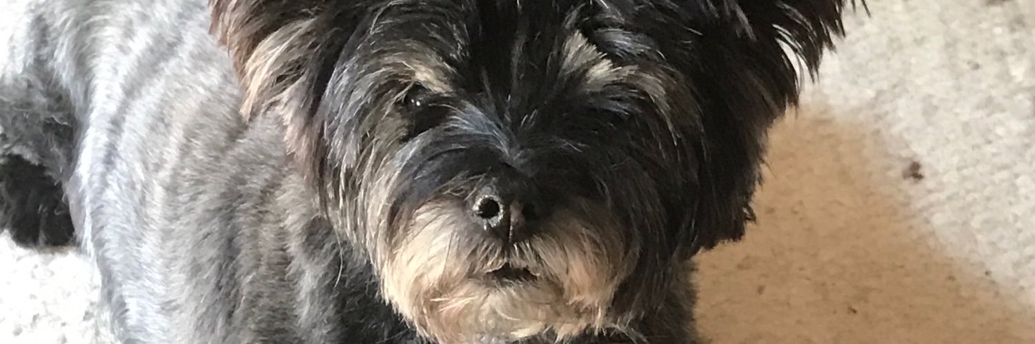 ToolboxSenior's profile banner image