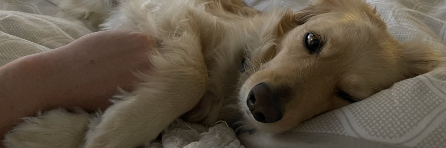 samEmark's profile banner image