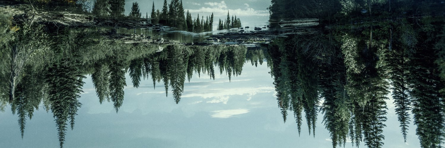 Gary Lundgren banner