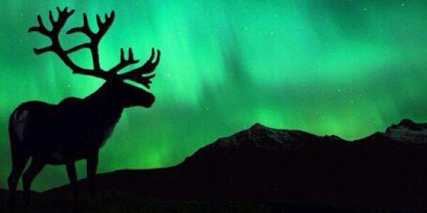 RP_Angel's profile banner image