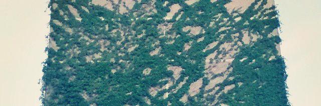 Ferdinand @forsunk.bsky.social banner