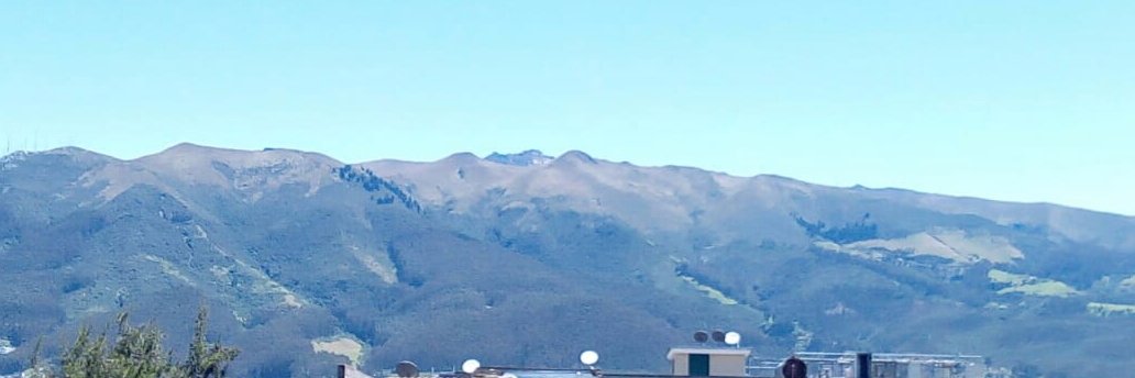 Patricia Molina banner