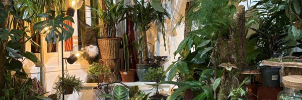 imsenii Profile Banner