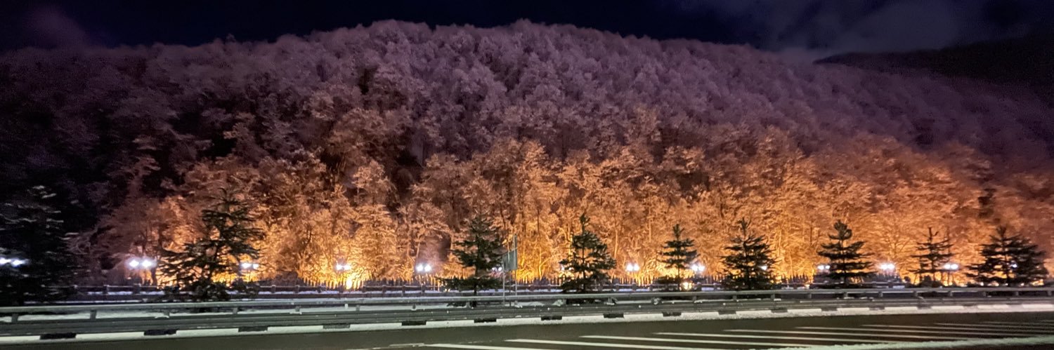 peterliapin's profile banner image